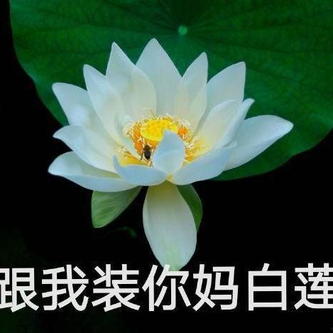 网红忘川吃瓜,揭秘娱乐圈背后的秘密与真相  第1张